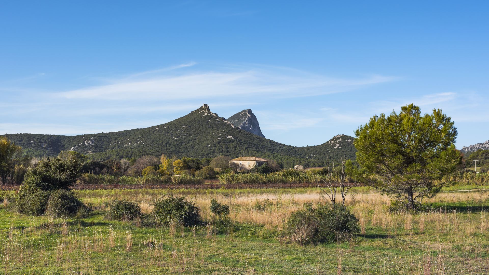 Vitrier Grabels Urgence